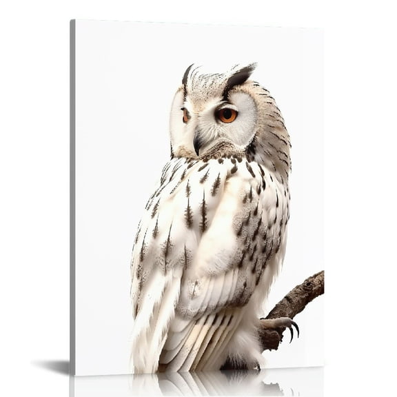 COMIO  White Wall Art Canvas Grey Owl Pictures Feather Paintings Modern Bedromm Living Room Decor