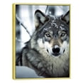 thumbnail image 1 of COMIO Wolf Animal Series Winter Forest Decorative Painting with Gold Border 12x16in / 16x20in for Living Room Wall Decor 12x16in, 1 of 4