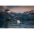 thumbnail image 1 of COMPOSITE Breaching Humpback whale in Prince William Sound Southcentral Alaska Summer Poster Print, 1 of 1