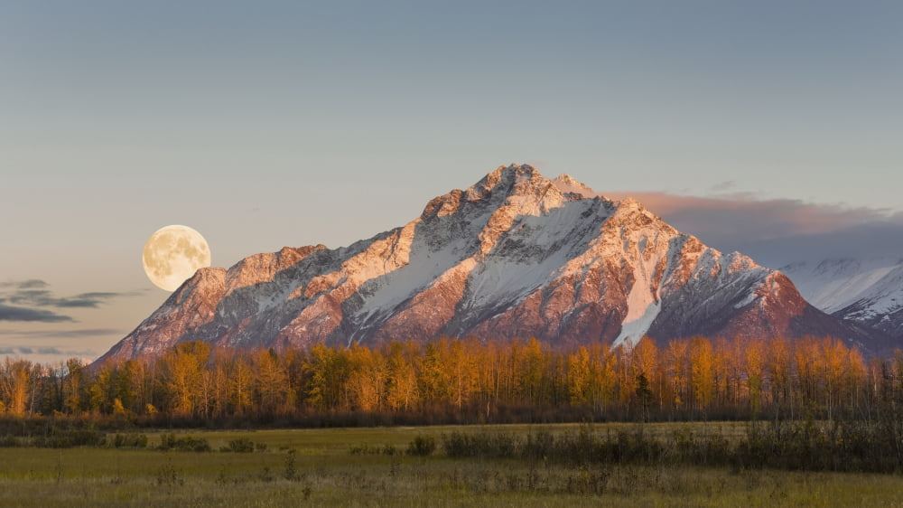 COMPOSITE Scenic sunset view of Pioneer Peak with the full moon rising over the Palmer Hay Flats Southcentral Alaska Autumn Canvas Art - Ray Bulson Design Pics (40 x 22)