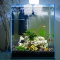 thumbnail image 1 of COMPUKAS Transparent Hydroponic Fish Wall Mounted Aquarium Plant Holders for Home Decor, 1 of 8