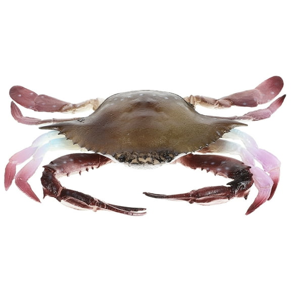 COMPUKAS ocean animal toy Realistic Crab Toy Multi 1Pcs