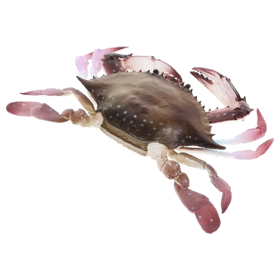 COMPUKAS Realistic Ocean Animal Crab Toy - 1 Piece Educational Marine Creature Figure