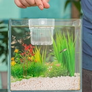 COMPUKAS ABS Clear Aquarium Plant Holder for Multiple Hydroponic Plants