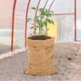 Vegetables Races COMPUKAS Large Jute Burlap Bag for Planting, Vegetables, and General ...