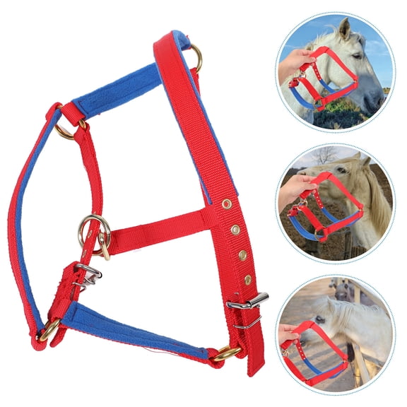 COMPUKAS Red Adjustable Horse Halter with Protective Design for Equestrian Training and Competition