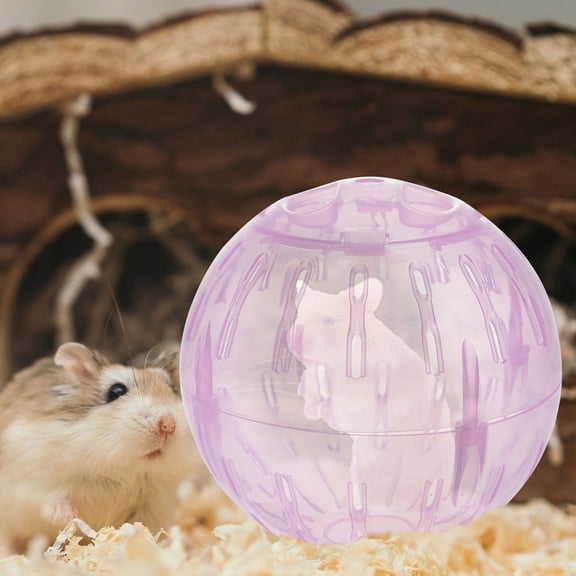 COMPUKAS Compact Lightweight Pink Hamster Running Ball for Small Animal Exercise