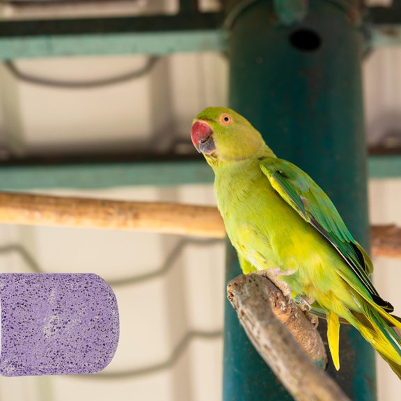 COMPUKAS Violet Parrot Perch Stand Practical Platform to Exercise and Entertain Birds