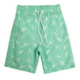 thumbnail image 1 of COMVALUE Boys Swim Trunks with Compression Liner UPF 50 Plus Quick Dry Swim Shorts Beachwear Boys Bathing Suit Swimsuit for Kids (Light Green, 10-12 Years), 1 of 9