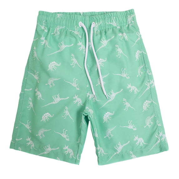 COMVALUE Boys Swim Trunks with Compression Liner UPF 50 Plus Quick Dry Swim Shorts Beachwear Boys Bathing Suit Swimsuit for Kids (Light Green, 10-12 Years)