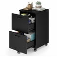 thumbnail image 1 of CONCETTA 2-Drawer Rolling File Cabinet with Lockable Wheels, Printer Stand with Storage for Home Office，Black, 1 of 7