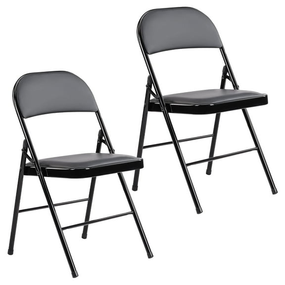 CONCETTA Modern Metal Folding Chairs, Indoor Auditorium, Waterproof (Set of 2)