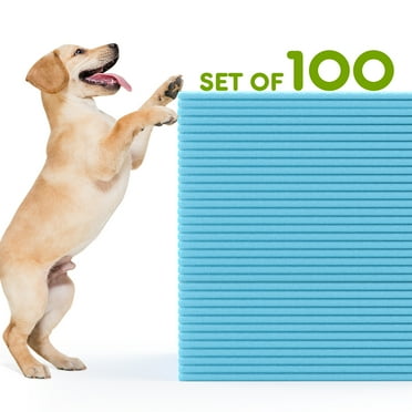 CONCETTA 22x22 Inch Disposable Dog Training Pads – 6-Layer Leakproof & Super Absorbent Puppy Pee Pads, 100 Count