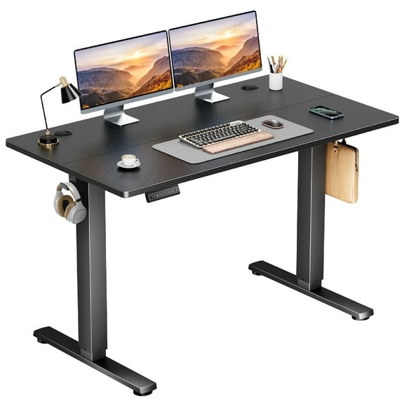 CONCETTA 48x24 inch Electric Standing Desk - Height Adjustable Gaming Workstation for Home Office, Black