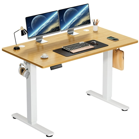 CONCETTA Electric Standing Desk, Height Adjustable Desk, 48 x 24 Inches Ergonomic Stand up Desk with Memory Preset for Home Office, Natural