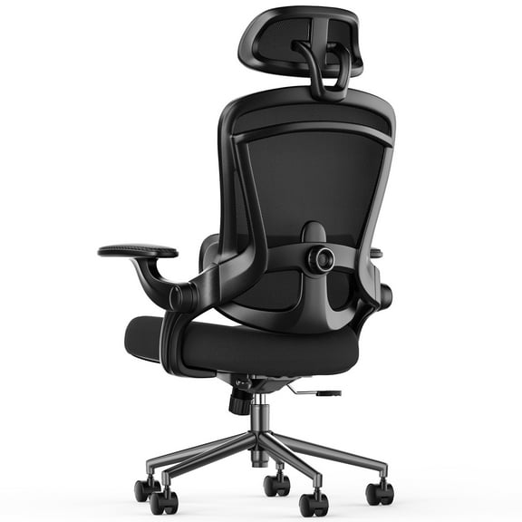 CONCETTA Ergonomic High Back Office Chair with Adjustable Lumbar Support, Headrest for Adults, Black