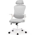 thumbnail image 1 of CONCETTA Office Desk Chair, Ergonomic High Back Mesh with Headrest Flip-up Armrest for Adults, Gray, 1 of 9