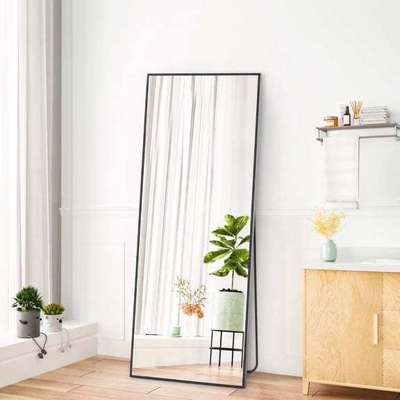 CONCETTA 64"x21" Rectangle Full Length Mirror, Full Body Standing Mirror Floor Mirror, Black