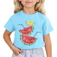 thumbnail image 1 of CONZONE Summer Tops For Girls Short Sleeve Cartoon Watermelon Graphic Tshirts For Girls Crew Neck Breathable Children Tees Size 10-11 Years Sky Blue, 1 of 4