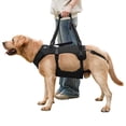 thumbnail image 1 of Coodeo Rehabilitation Support Series Adjustable Dog Lifting Aid Full Body Harnesses, Black, XL (24 in to 33 in Chest Size), 1 of 6