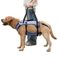 thumbnail image 1 of Coodeo Rehabilitation Support Series Adjustable Dog Lifting Aid Full Body Harnesses, Blue, S (14 in to 21 in Chest Size), 1 of 6