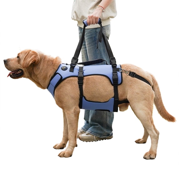 Coodeo Rehabilitation Support Series Adjustable Dog Lifting Aid Full Body Harnesses, Blue, S (14 in to 21 in Chest Size)