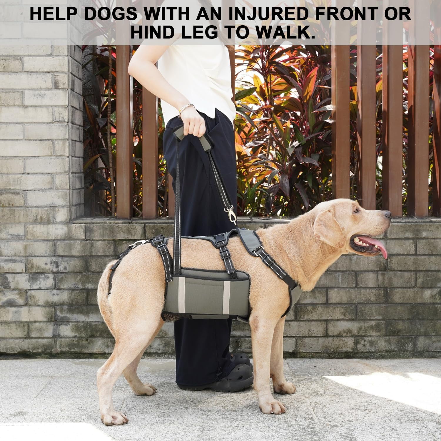 View of COODEO Mobility Dog Lift Harness, Emergency Carry Sling, Pet Rear Leg ...
