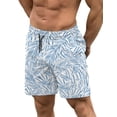 thumbnail image 1 of COOFANDY Mens Bathing Suits Trunks Quick Dry Swim Shorts with Compression Liner Pool Short, 1 of 6
