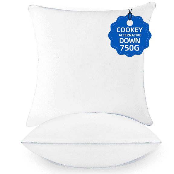 COOKEY 22 x 22 Throw Pillow Inserts(Set of 2),Indoor White Square Decorative Pillows for Couch & Bed