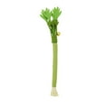 thumbnail image 1 of COOLHOOD 3Pc Realistic Celery Cats Toy With Silvervine And Bells Sound Interactive Play Chew Resistant Design For Kitten Training, 1 of 3