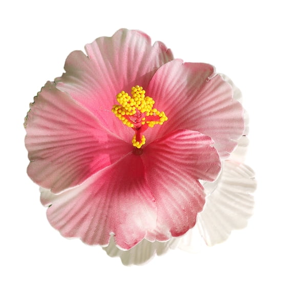 COOLHOOD Hair Claw Clip Clip Headgear Hair Claw Clamp Elegant Beach Hair Holder Barrettes Strong Hold Hairpin for Girls