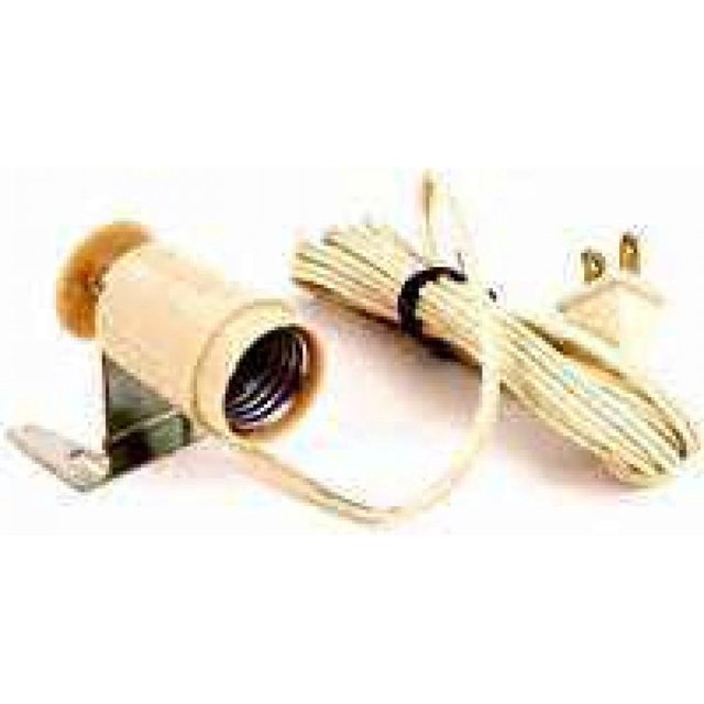 COOPER WIRING DEVICES 60W Ivy Closet Light