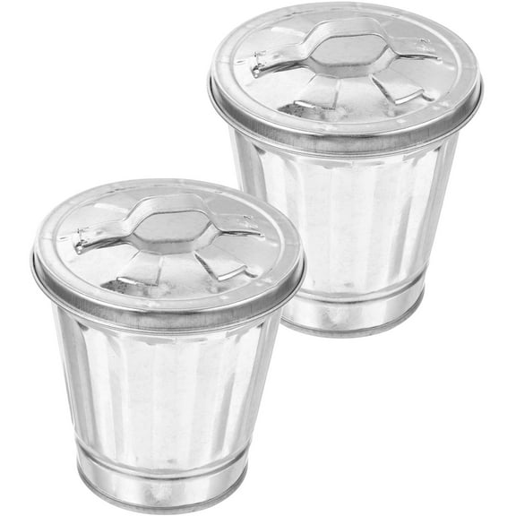 COOPHYA 2Pcs Small Covered Galvanized Can Silver Galvanized Iron 10.5in Height For Tabletop Organization