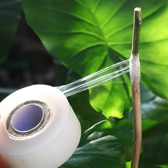 COOPHYA 3 Rolls Grafting Film Assorted Color for Plant Repair Tree ...