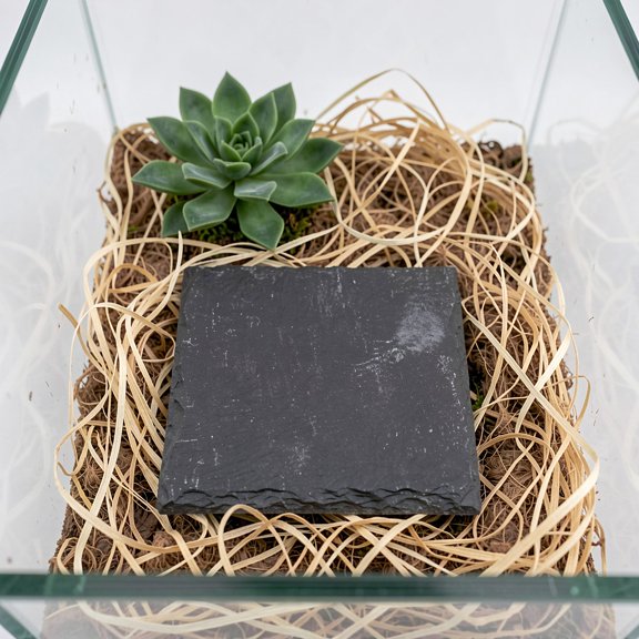 COOPHYA Basking Rock Slate Platform for Turtle and Gecko with Natural Stone and Easy Maintenance