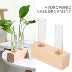 COOPHYA Transparent Hydroponic Propagation Vase for Indoor Plants, Decorative Plant Supply Tube for Home Gardening