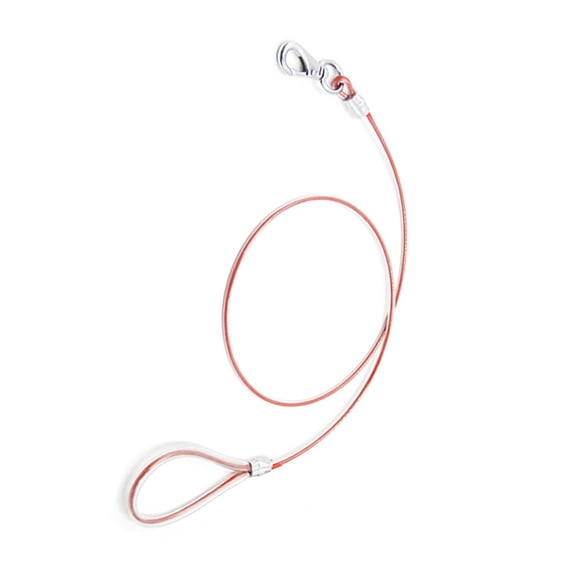 COOPHYA Durable Steel Wire Dog Leash Wrapped in Water Resistant Plastic for Training