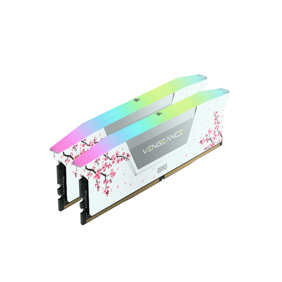 CORSAIR Vengeance RGB 32GB (2 x 16GB) 288-Pin PC RAM DDR5 6000 (PC5 48000) Desktop Memory Model CMH32GX5M2B6000Z30WCB