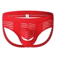 thumbnail image 1 of COSFO Briefs for Men with Contour Pouch Striped Underwear Ice Silk Breathable Classic Fit Men's Underwear, 1 of 5