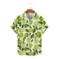thumbnail image 1 of COSFO Collared Button Down Shirt Men Casual Hawaiian Green Short Sleeve Tops Regular Graphic Tees, 1 of 5