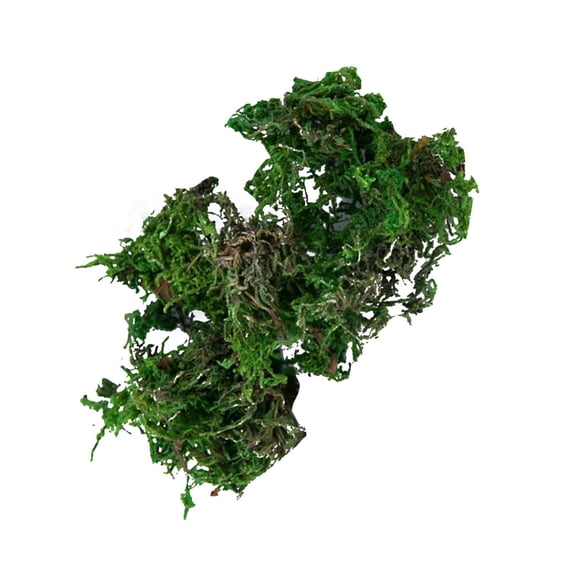 COSMOBETTY Artificial Moss Green Miniature For Miniature Landscape Decoration 5Set