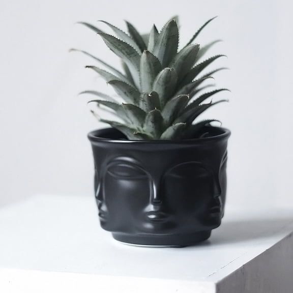 COSMOBETTY Design Succulent Plant Pot Unique Black Flower Planter For Home Office Decoration Chic Desktop Decor