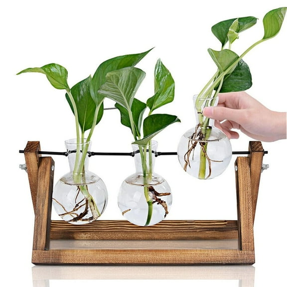 COSTYLE Plant Terrarium with Wooden Stand, Glass Vase Retro Tabletop for Hydroponics Home Office Decoration