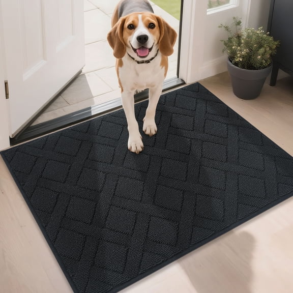 Floor Hug Indoor Dog Doormat, 24"x36", Non-Slip Front Door Mat for Entrance, Absorbent Resist Dirt Door Rug for Inside, Low-Profile Welcome Mat, Entryway Rug Machine Washable, Black