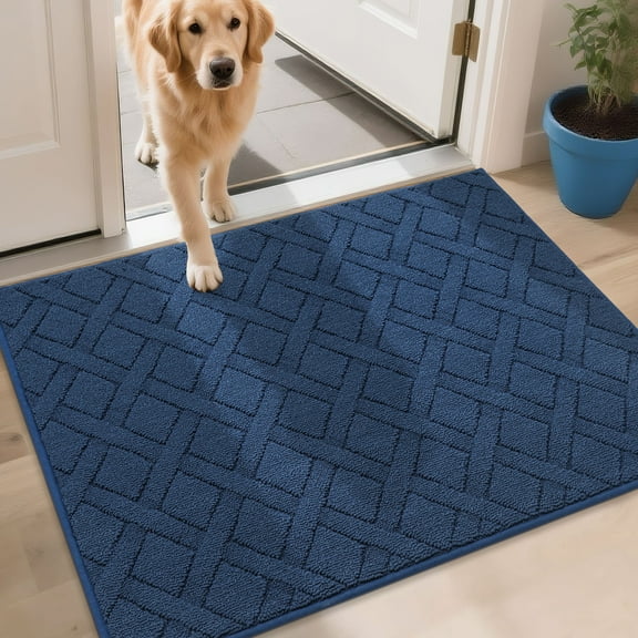 FLOORHUG Indoor Dog Doormat, 32"x48", Non-Slip Front Door Mat for Entrance, Absorbent Resist Dirt Door Rug for Inside, Low-Profile Welcome Mat, Entryway Rug Machine Washable, Blue