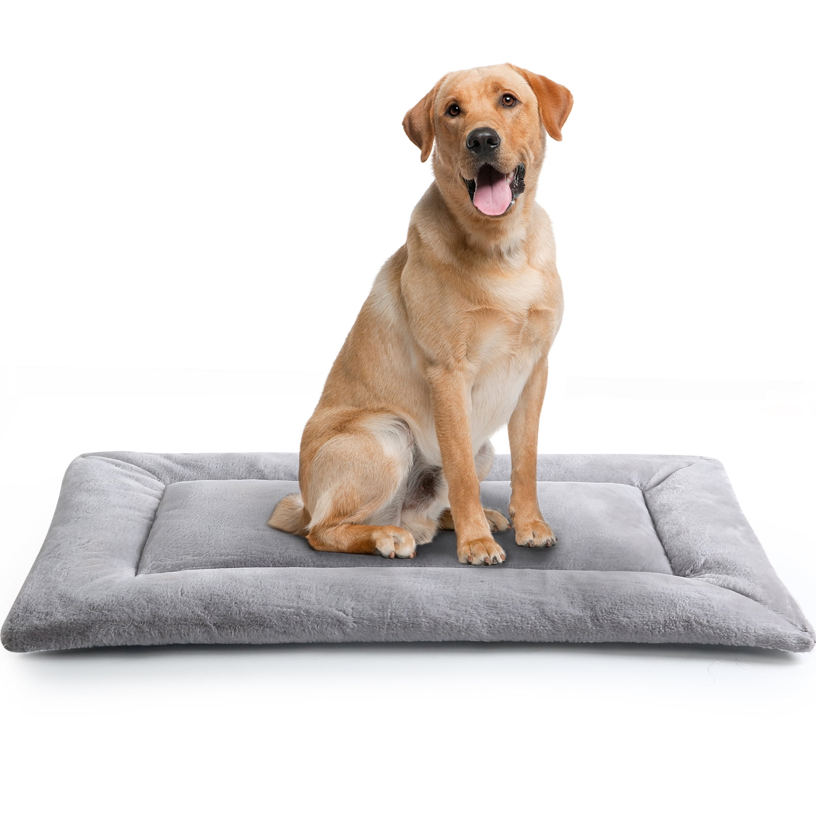 COSYJOY Dog Beds for Medium/Large Dogs, Ultra Soft Pet Dog Bed, Washable & AntiSlipt,Gray