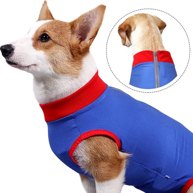 Image showcasing COUTUDI Recovery Suit, Cone E-Collar Alternative, Cotton/Spandex, Dog ...