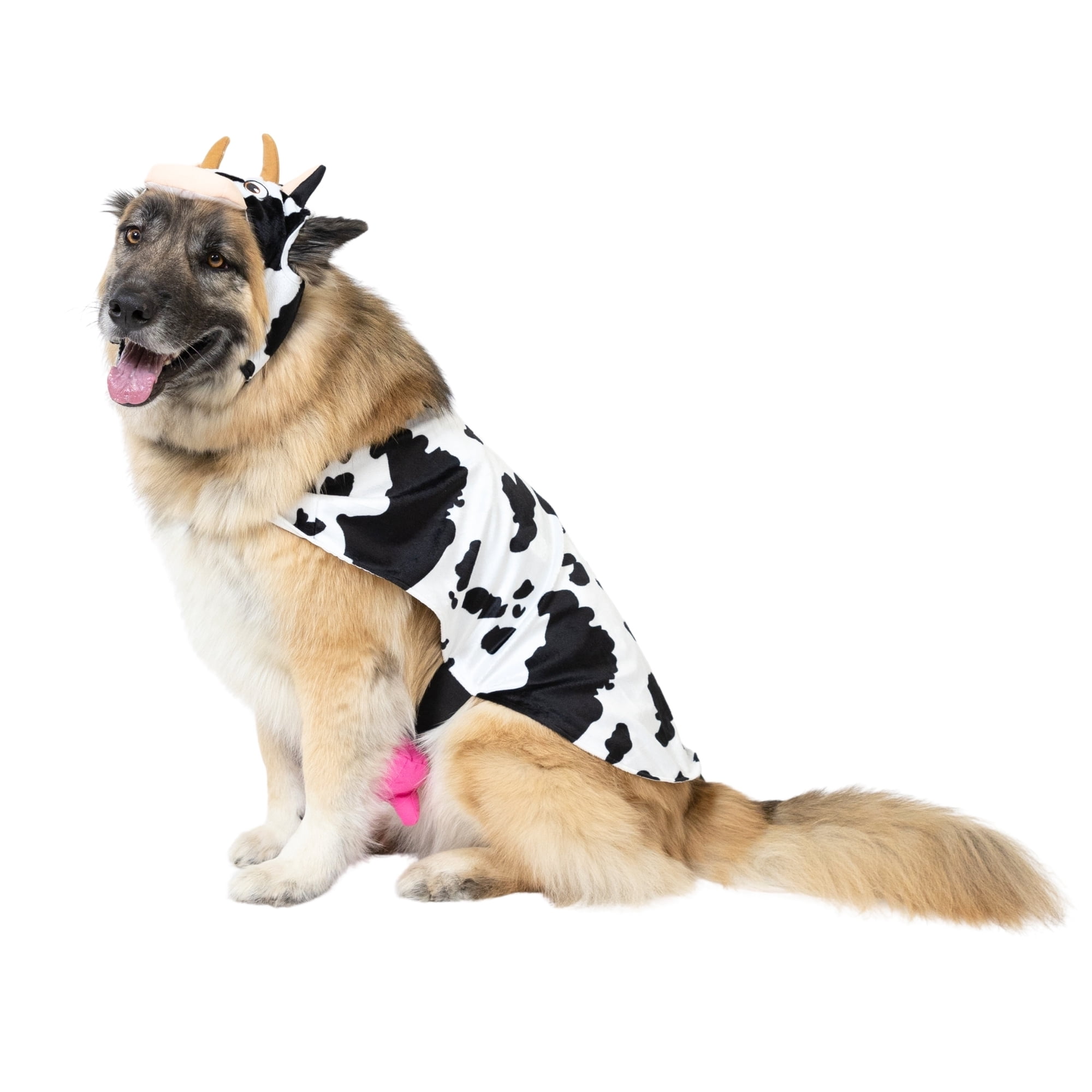 Vibrant Life Halloween Costume for Dogs, Cow, Black & White, Extra Large