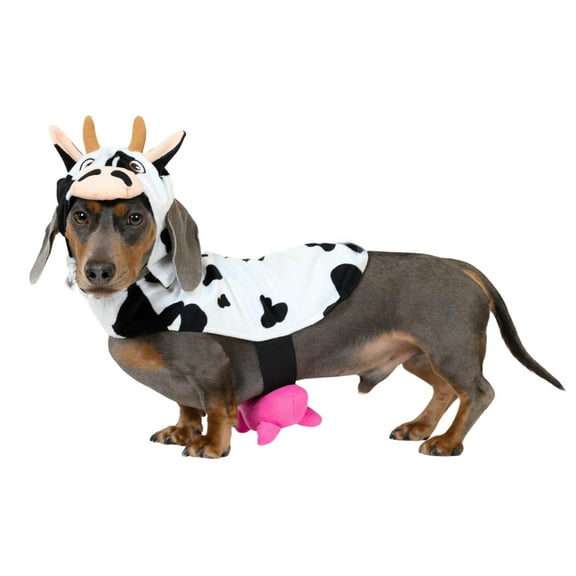 Vibrant Life Halloween Costume for Dogs & Cats, Cow, Black & White, Extra Small
