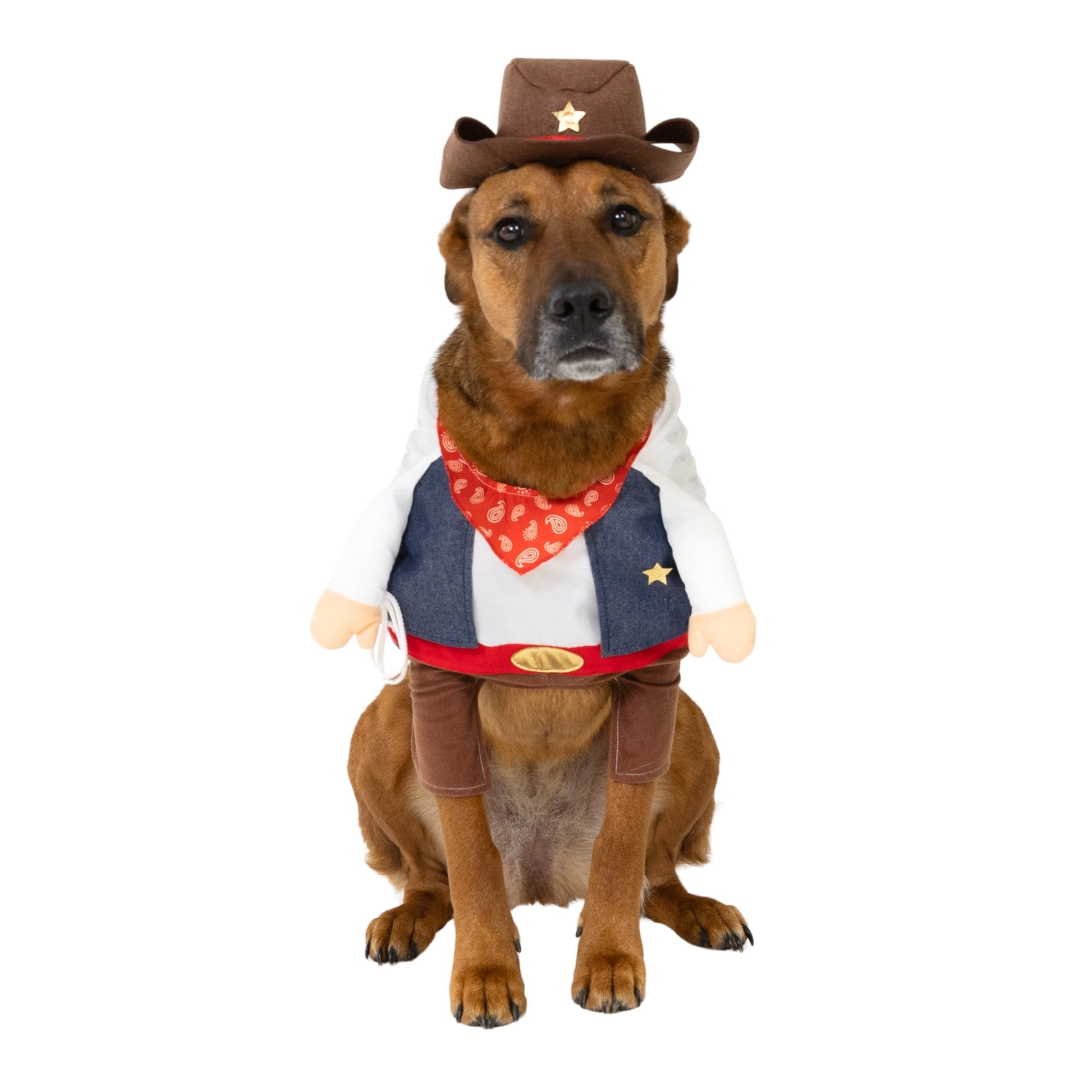 Vibrant Life Halloween Cowboy Costume for Dogs, Multicolor, Large